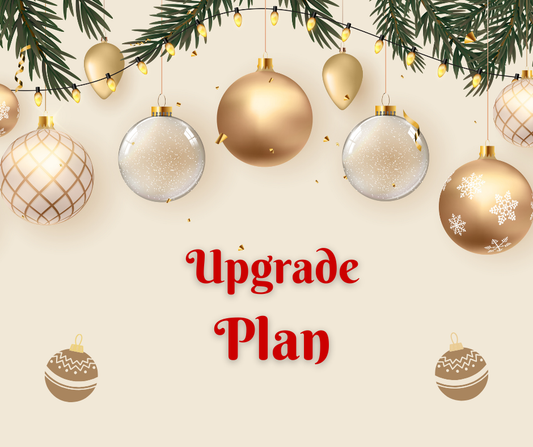 NATIVITYPLAY UPGRADE PLAN