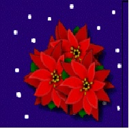 Poinsettia_Christmas_Gifts_icon