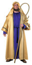 Christmas costume